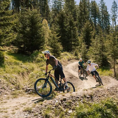 Försterlisl *