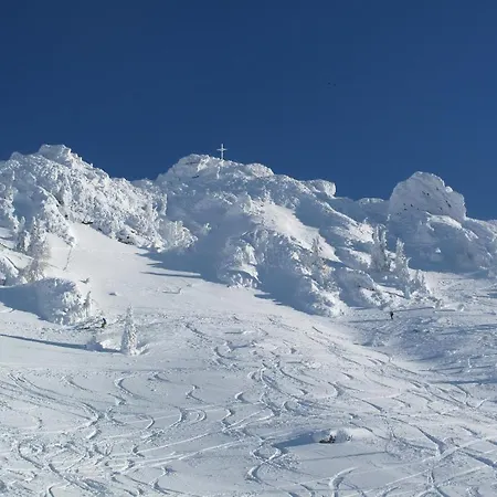 Appartement Foersterlisl Kleinarl