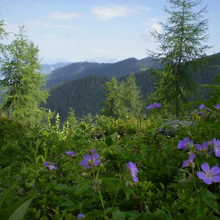 Foersterlisl Apartamento Kleinarl